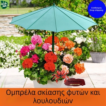 Ομπρέλα φυτών από φαιμπεργκλάστ για εξωτερική χρήση – προστασία από τον ήλιο και τη βροχή για succulent bonsai σε γλάστρες