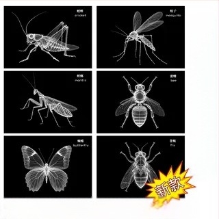 Εκπαιδευτικό παιχνίδι Μοντεσσόρι-Ρέτζιο με φως και σκιά, DIY δαχτυλίδι ακτινογραφίας, για βρέφη 0–3 ετών, γωνιά επιστήμης