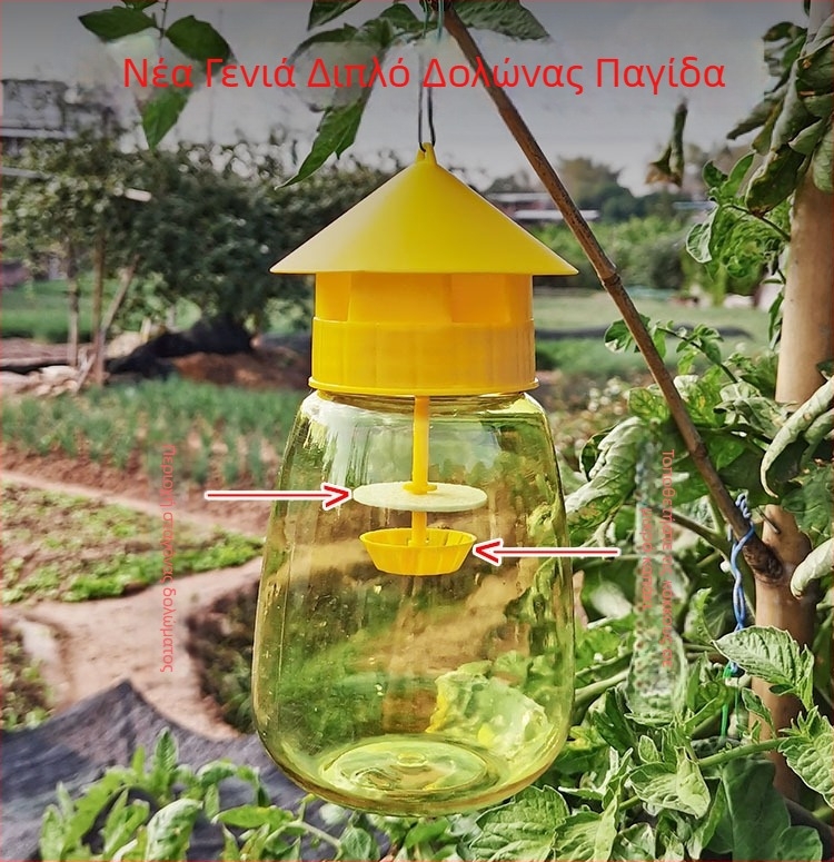 Παγίδα φρουτομύγας για οπωρώνες και κηπευτικά με δόλωμα και συλλέκτη (Μάρκα: Other; Επεξεργασία και προσαρμογή: Όχι)