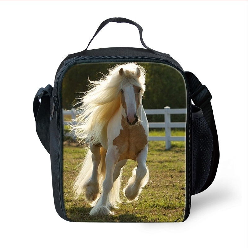 Θερμαινόμενη τσάντα γεύματος, πολυεστέρας, μοντέλο G, κυκλοφόρησε το 2018.