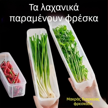 Κουτί αποθήκευσης ψυγείου για κόλιανδρο και πράσα — σκανδιναβικού ύφους, ασημί μέταλλο, μη τυποποιημένο σχήμα