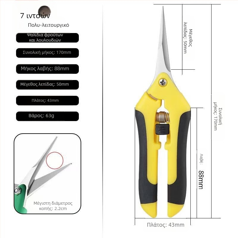 Ψαλίδι κλαδέματος σταφυλιών, ανοξείδωτο ατσάλι, πολυλειτουργικό για κήπο, άνθη και συλλογή φρούτων και λαχανικών