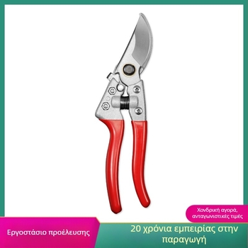 Ανοξείδωτα κλαδευτικά ψαλίδια κήπου για κλάδεμα λουλουδιών και συγκομιδή φρούτων και λαχανικών; Μάρκα Diligent hair