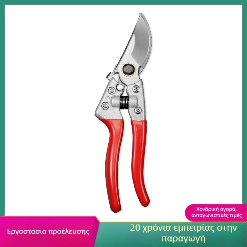 Ανοξείδωτα κλαδευτικά ψαλίδια κήπου για κλάδεμα λουλουδιών και συγκομιδή φρούτων και λαχανικών; Μάρκα Diligent hair