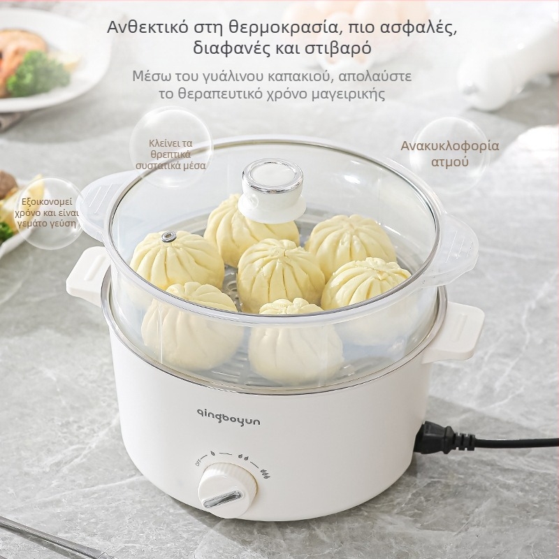 Ηλεκτρική κατσαρόλα μαγειρέματος με ρυθμιζόμενη θερμοκρασία, ισχύς 400-800W, χωρητικότητα 2-3L, εσωτερικός κάδος από ανοξείδωτο χάλυβα, λειτουργίες ατμού, τηγανίσματος, μαγειρέματος, βρασίματος