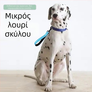 Αντανακλαστικό επενδυμένο νάιλον λουρί σκύλου για μεσαίου και μεγάλου μεγέθους σκύλους, μονόχρωμο κοντό λουρί βόλτας, αναδιπλούμενο