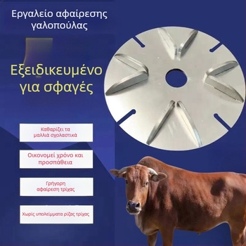 Ηλεκτρικός γωνιακός τροχός για κτηνοτροφία – απομάκρυνση τριχώματος από χοίρους και λείανση γούνας βοοειδών/αγελάδων, ανοξείδωτος χάλυβας (Υλικό: Ανοξείδωτος χάλυβας; Πεδίο χρήσης: Γεωργία; Μάρκα: Άλλο)