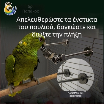 Παιχνίδι δαγκώματος για παπαγάλο, διαδραστική ανακούφιση άγχους, ανοξείδωτο ατσάλι, κρεμαστό για κλουβί (Προέλευση: Wenzhou; Εισαγωγή: Όχι)
