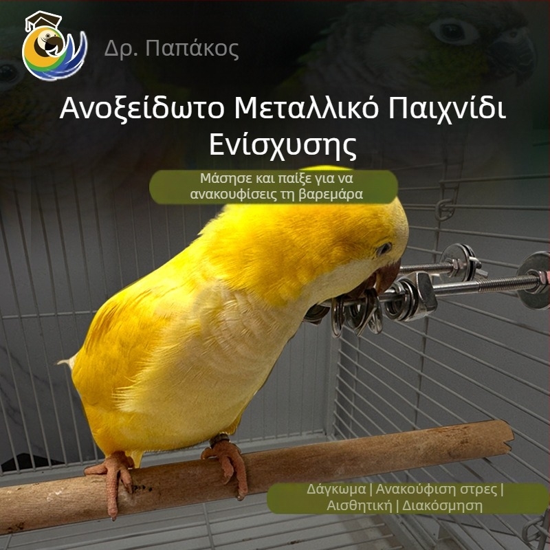 Παιχνίδι δαγκώματος για παπαγάλο, διαδραστική ανακούφιση άγχους, ανοξείδωτο ατσάλι, κρεμαστό για κλουβί (Προέλευση: Wenzhou; Εισαγωγή: Όχι)