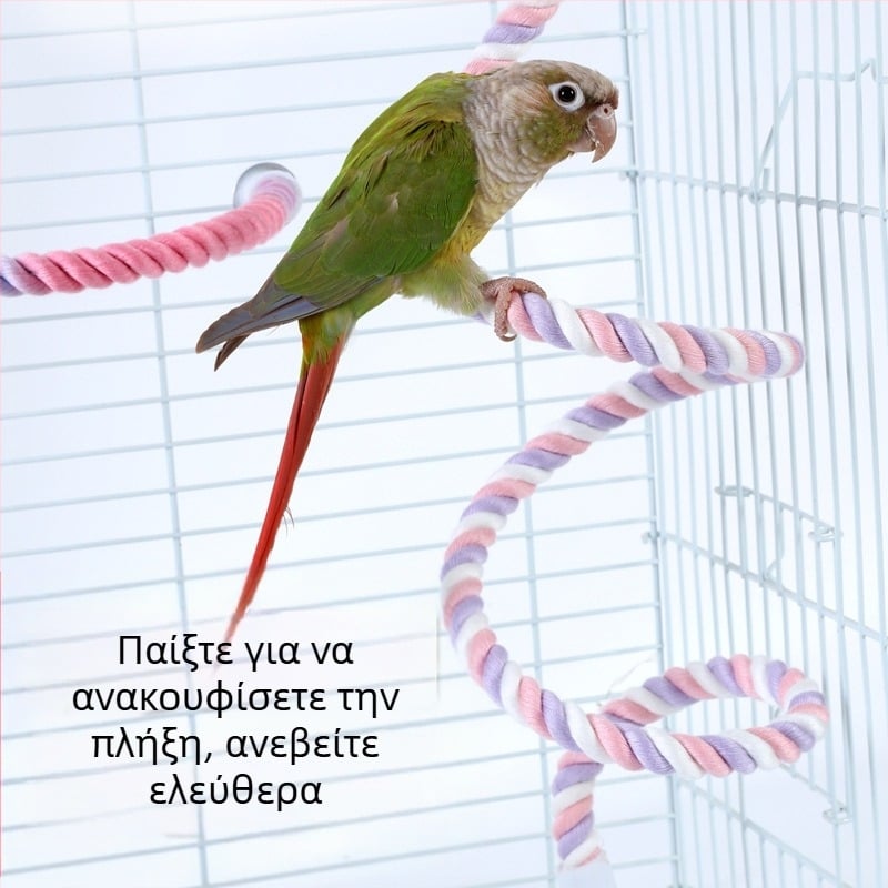 Κούνια σκοινιού για παπαγάλο - βαμβακερό σκοινί αναρρίχησης με σταθερά άκρα, μοντέλο Jt95661, για πτηνά, προέλευση Σαντόνγκ