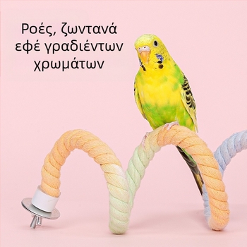 Παιχνίδι παπαγάλων με σχοινί αναρρίχησης, δακτυλίδι‑κούνηση, σκάλες δαγκώματος και βάση‑περσίχ; Υλικά: πολυεστέρας‑βαμβάκι, PP πλαστικό, γαλβανισμένα μεταλλικά εξαρτήματα, πυρήνας από χαμηλού άνθρακα χάλυβα