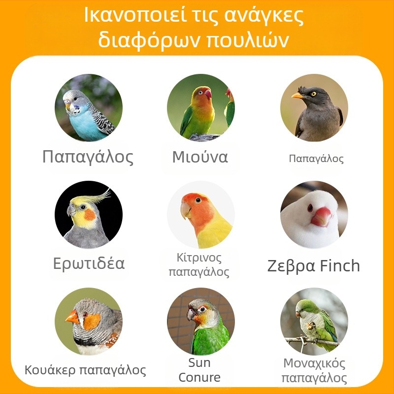Λεκάνη Μπάνιου Πουλιών Για Παπαγάλους Και Μικρά Πουλιά – Μοτίβο Τίγρης-Πιόν, Στυλ Μαύρος Φοίνικας