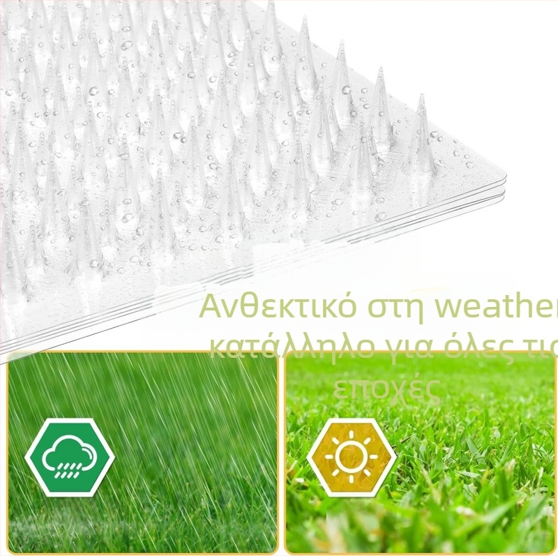 Αντι-γάτας με αγκίδες πάτος — πλαστικό; κατάλληλο για γάτες; μάρκα Brother chun; κατηγορία: μαξιλάρι καθίσματος; οικισμοί και κλουβιά κατοικίδιων