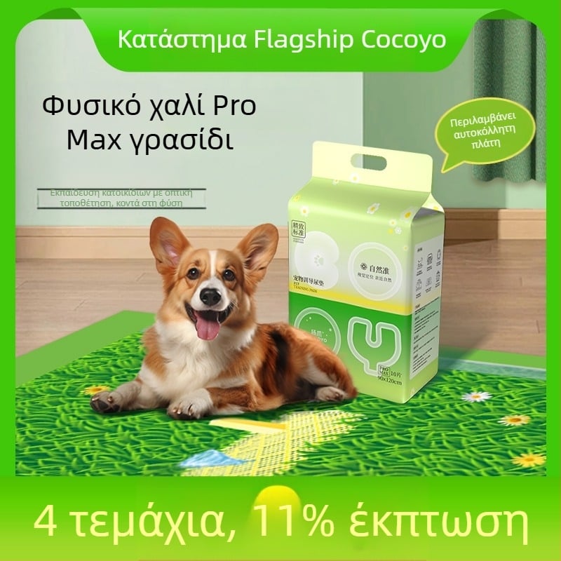 Cocoyo μαξιλαράκι ούρων για σκύλους, σειρά Natural Standard, ProMax απορροφητικό πάτος