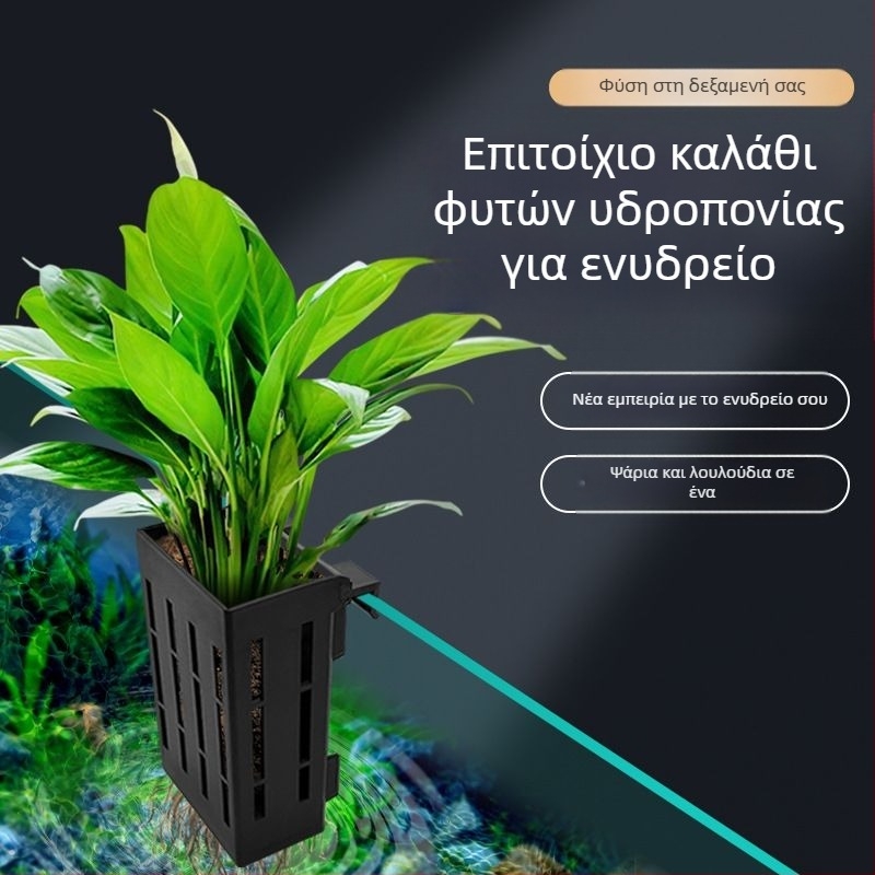 Κρεμαστό στον τοίχο γλάστρα για υδροπονική φύτευση σε ενυδρείο – διακοσμητική καλαθούλα για υδρόβια φυτά
