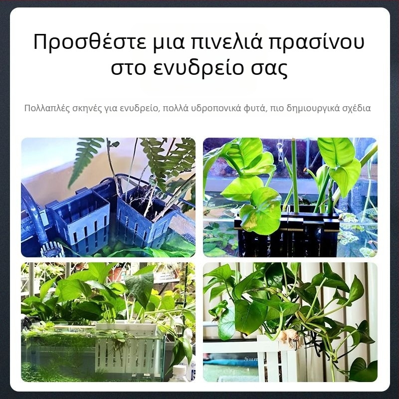 Κρεμαστό στον τοίχο γλάστρα για υδροπονική φύτευση σε ενυδρείο – διακοσμητική καλαθούλα για υδρόβια φυτά
