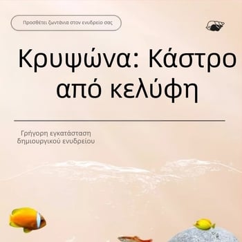 Διακοσμητικό ενυδρείου από ρητίνη: Κάστρο από κογχύλι για ψάρια και γαρίδες, με τρύπες γονιμοποίησης και καταφύγια