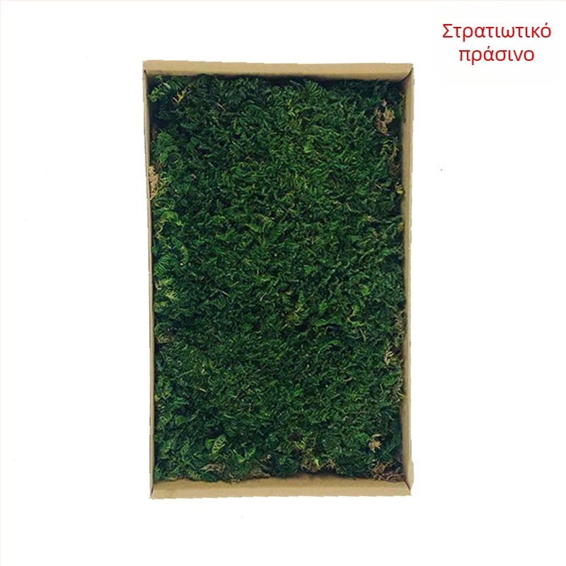 Τεχνητός βρύος χλοοτάπητας, φλοκωτά μεταξωτά φυτά, μοντέλο 21488319, διακόσμηση τοπίου βιτρίνας
