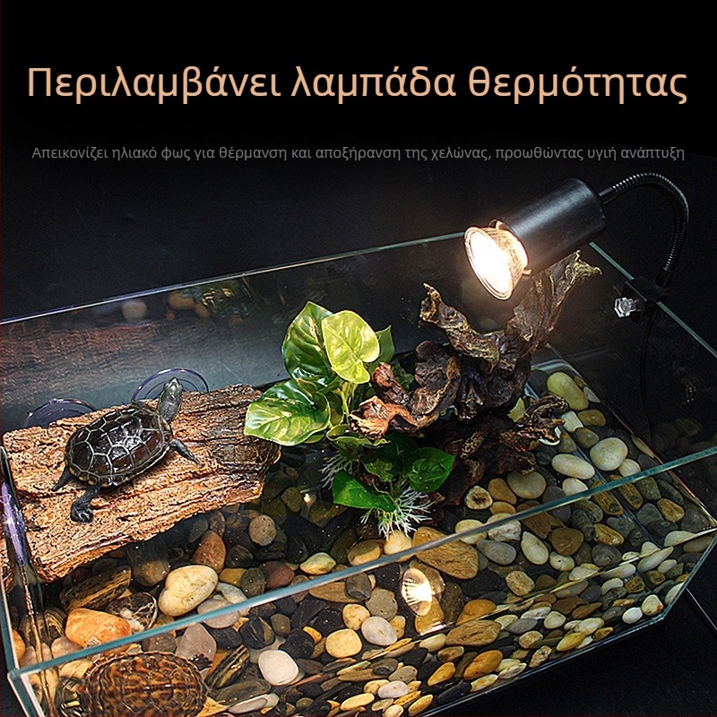 Πλατφόρμα αναρρίχησης χελωνών σε βαθιά νερά με τεχνητό επιπλέον νησί και σκάλα – Υλικό: ρητίνη; Μάρκα: Tim Yue; Βάρος: 500; Εξοπλισμός ενυδρείου