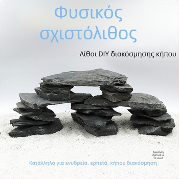Τεραριούμ για χελώνες: πλατφόρμα ηλιοθεραπείας από πέτρες για διακόσμηση