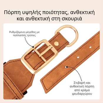 Ευρύ κολάρο σκύλου με χάραξη και ταμπελάκι, για μεσαίου και μεγάλου μεγέθους σκύλους, λουρί για Belgian Malinois