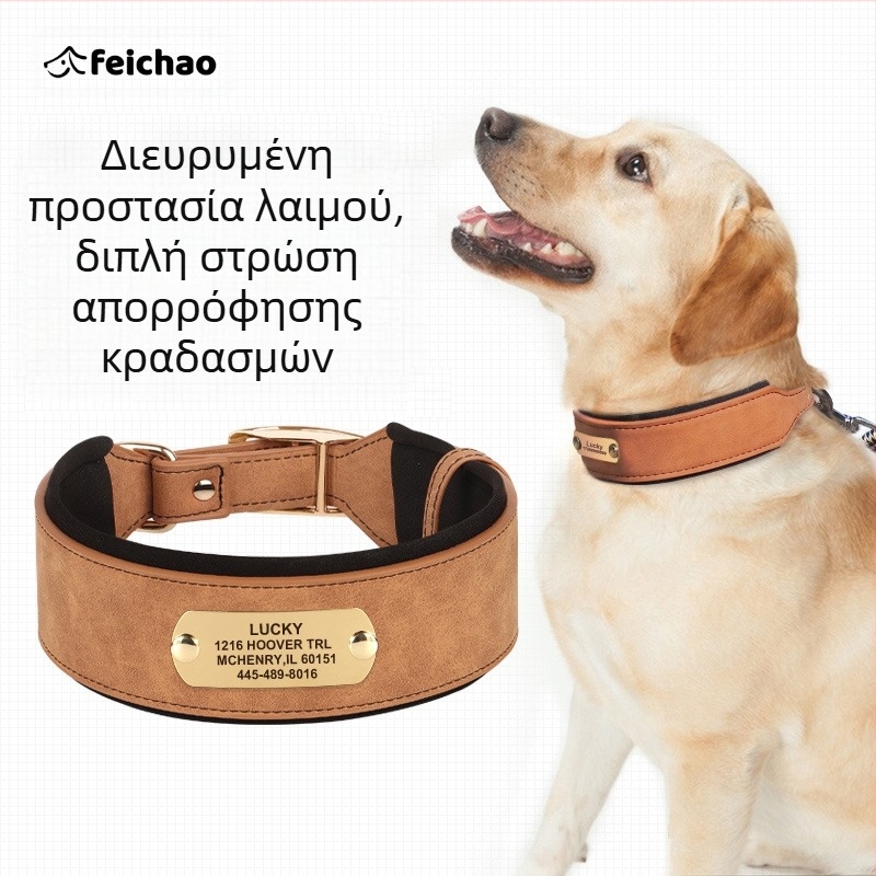 Ευρύ κολάρο σκύλου με χάραξη και ταμπελάκι, για μεσαίου και μεγάλου μεγέθους σκύλους, λουρί για Belgian Malinois