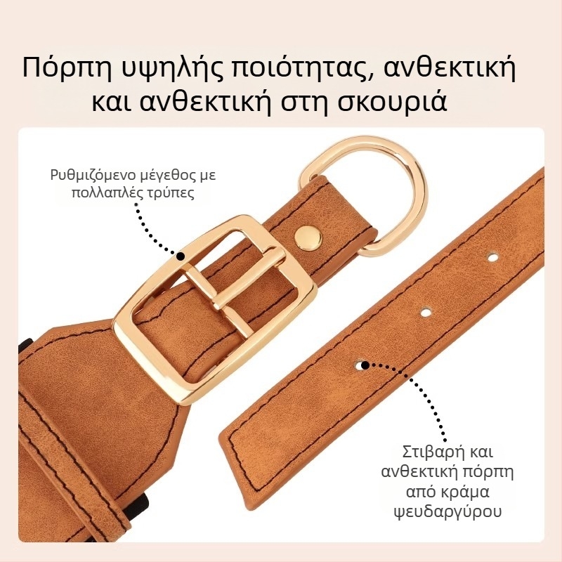 Ευρύ κολάρο σκύλου με χάραξη και ταμπελάκι, για μεσαίου και μεγάλου μεγέθους σκύλους, λουρί για Belgian Malinois
