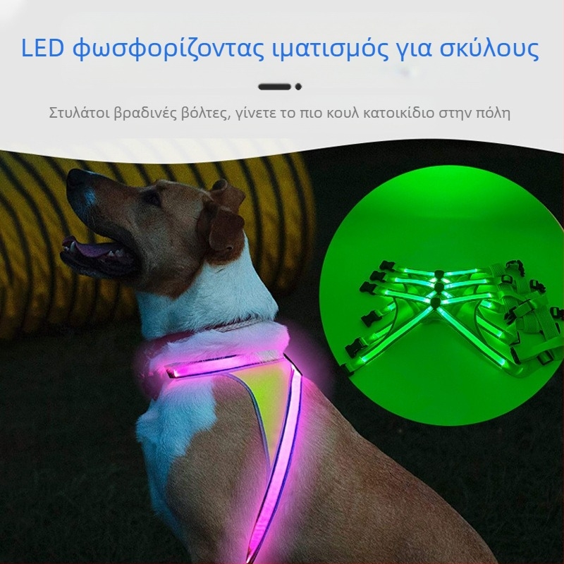 Ζώνη θώρακα σκύλου με LED φως, USB επαναφορτιζόμενη, νάιλον, ρυθμιζόμενη, κατάλληλη για νυχτερινές βόλτες