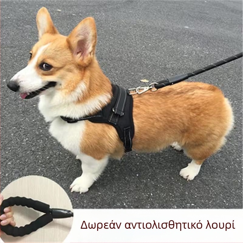 Γιλέκο με λουρί για σκύλους — για μικρά και μεσαία σκυλιά, Τόι Πούντελ, Γαλλικός Μπουλντόν, Κόργκι