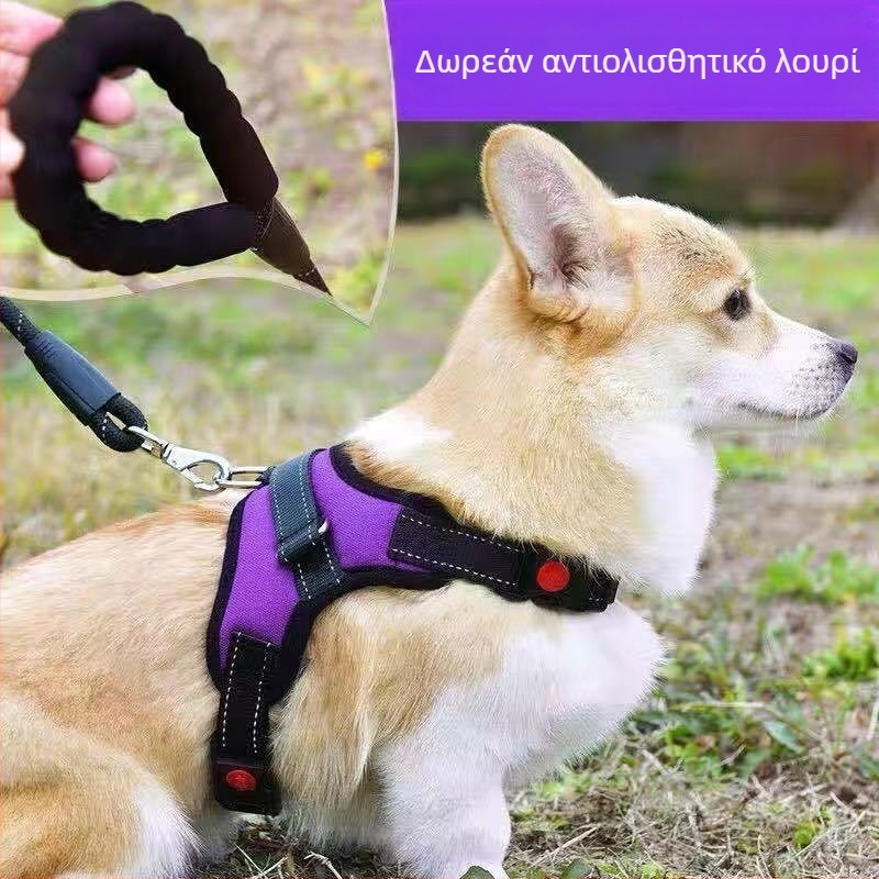 Γιλέκο με λουρί για σκύλους — για μικρά και μεσαία σκυλιά, Τόι Πούντελ, Γαλλικός Μπουλντόν, Κόργκι