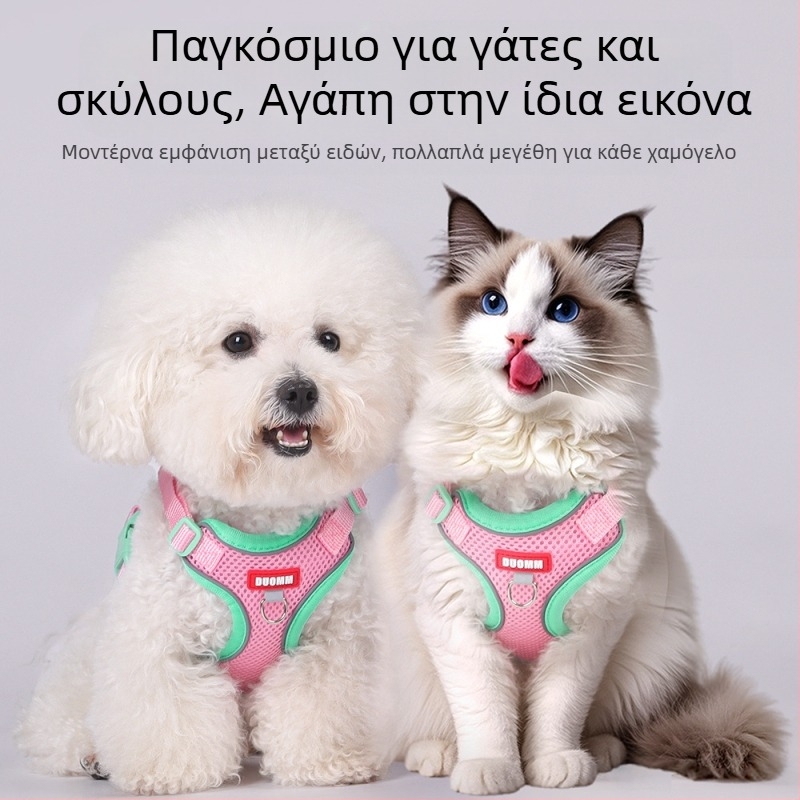 Belu ιμάντας θώρακα για κατοικίδια – πολυεστέρας, ρυθμιζόμενος, για γάτες, κουτί 240 τεμάχια