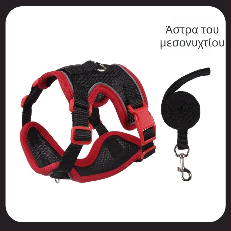 Belu ιμάντας θώρακα για κατοικίδια – πολυεστέρας, ρυθμιζόμενος, για γάτες, κουτί 240 τεμάχια