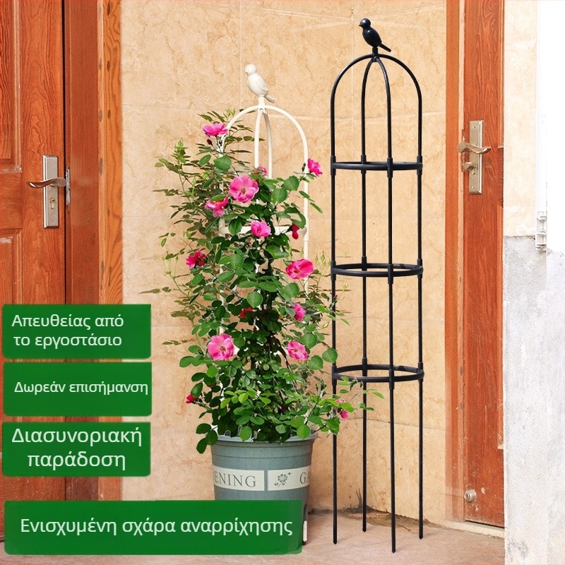 Μοντέρνη στήριξη αναρριχητικών φυτών για τριαντάφυλλα και κλεματίδες