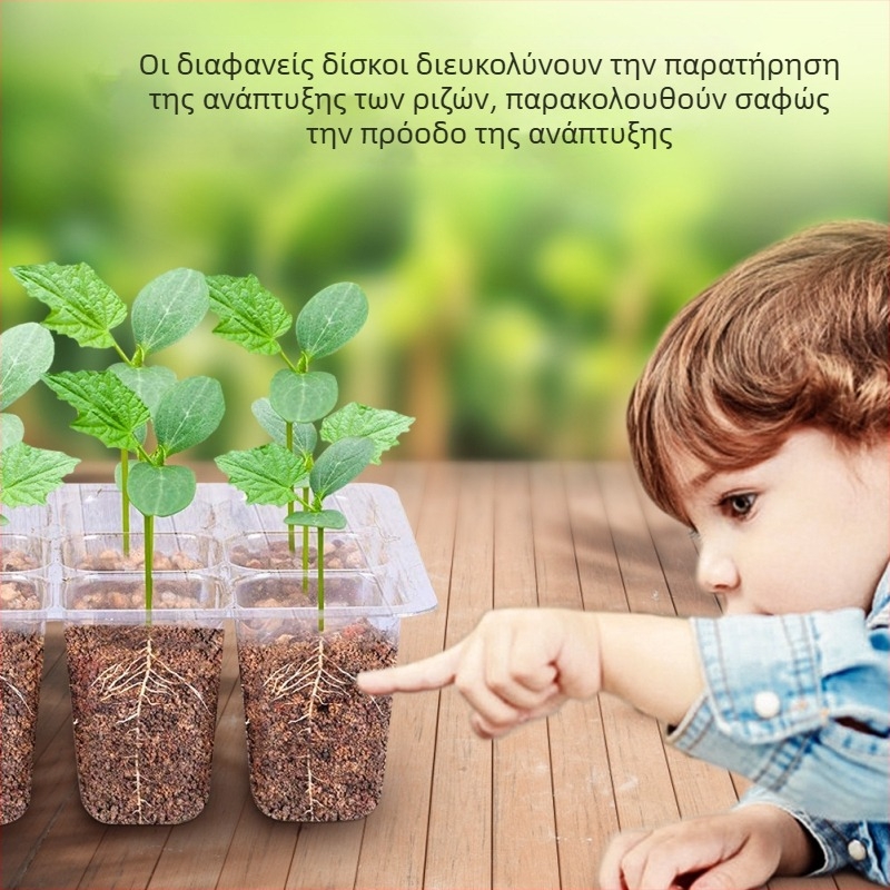 12-τρύπες πλαστικός δίσκος σποράς, σετ 6 τεμαχίων, ετικετοποιημένος, για σπορά και ανάπτυξη παχύφυτών, διατήρηση θερμότητας και υγρασίας, διαφανής και ανθεκτικός