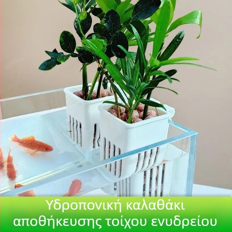 Κυπελάκια υδροπονίας για φύτευση σε ενυδρείο, κρεμαστά στον τοίχο