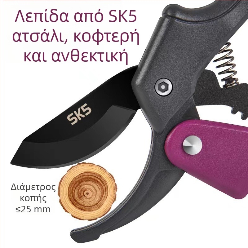 Κλαδευτικά ψαλίδια με μηχανισμό τροχαλίας – για δέντρα φρούτων και κήπο κλάδεμα (μηχανισμός τροχαλίας; δέντρα φρούτων; κήπος κλάδεμα)