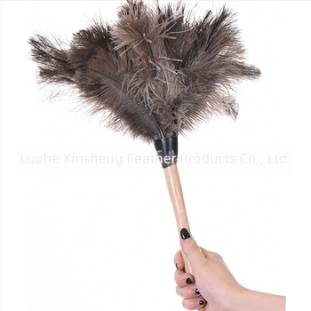Dust Duster με φτερά στρουθοκαμήλου, στρογγυλή κεφαλή — Μάρκα: New Feathers