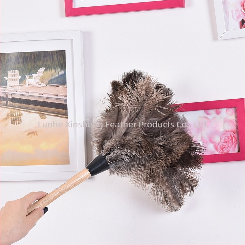 Dust Duster με φτερά στρουθοκαμήλου, στρογγυλή κεφαλή — Μάρκα: New Feathers