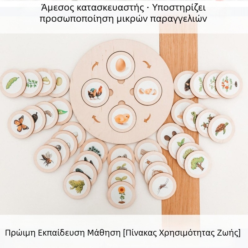 Montessori Life Cycle Tray Game – Ξύλινο εκπαιδευτικό παιχνίδι Montessori για την πρώιμη εκπαίδευση, πολλαπλών χρήσεων (Υλικό: Ξύλο; Ηλικία: 3–6 ετών; Επεξεργασία: Προσαρμοσμένες εικόνες)