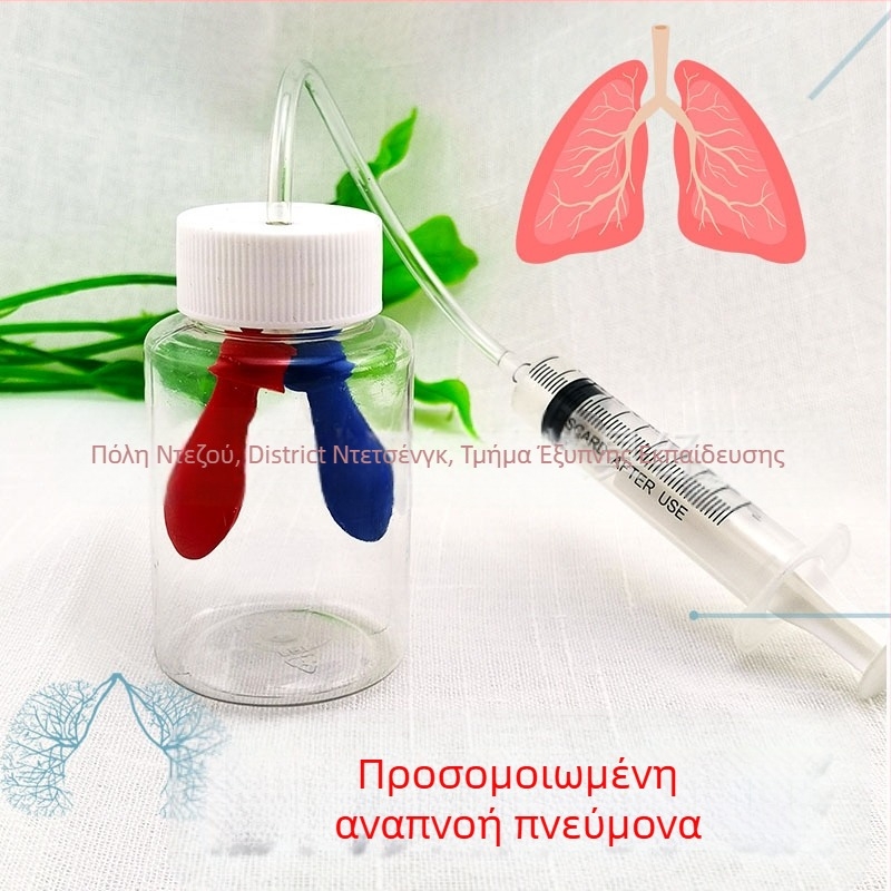 Πλαστικός εκπαιδευτικός μοντέλος για προσομοίωση αναπνοής, κατανόηση του ανθρώπινου σώματος, βιολογία και χημεία, DIY συναρμολόγηση, για 7–14 ετών, Honeycomb Maze