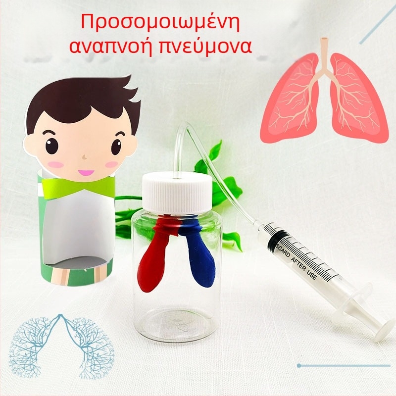 Πλαστικός εκπαιδευτικός μοντέλος για προσομοίωση αναπνοής, κατανόηση του ανθρώπινου σώματος, βιολογία και χημεία, DIY συναρμολόγηση, για 7–14 ετών, Honeycomb Maze