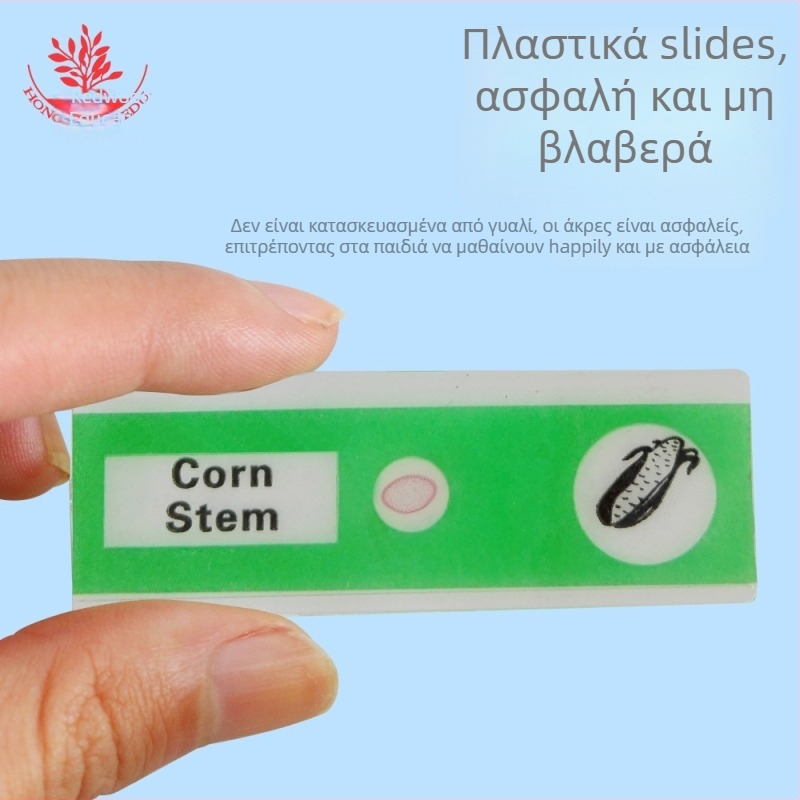 Mangrove PVC βιολογικά δείγματα, σετ 12 για διαφάνειες μικροσκοπίου (ζώα και φυτά)