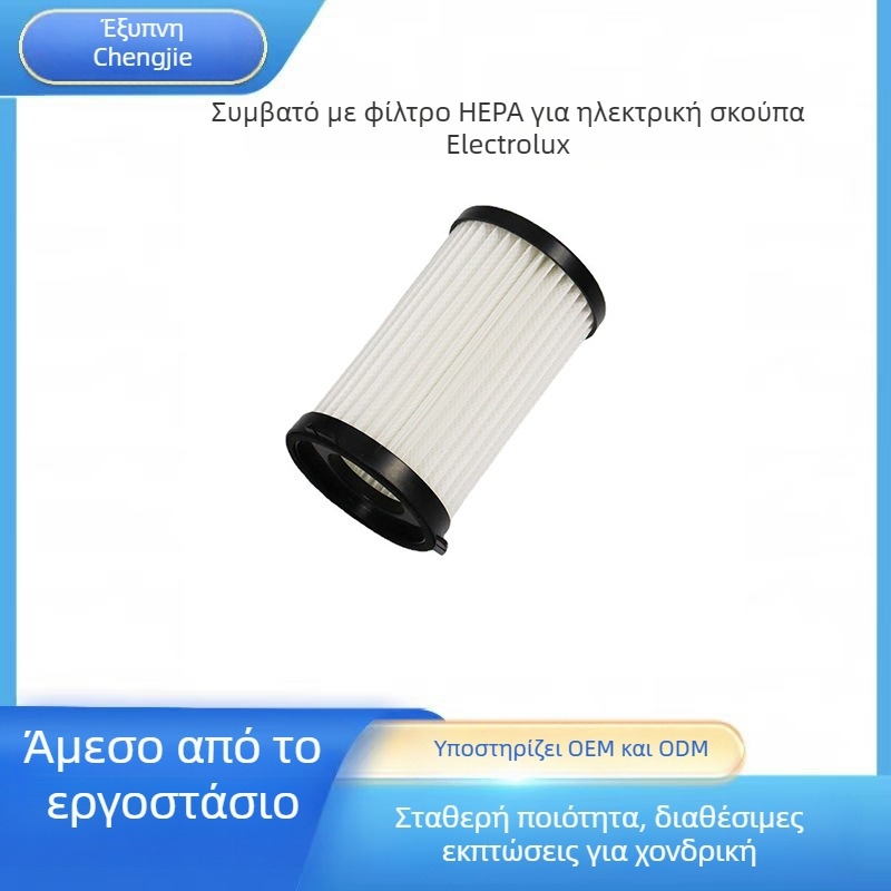 CJ Φίλτρο σκούπας για Electrolux/AEG CX7 CX7-2 AEF150, οικιακή χρήση, κάλυψη 51–100 m², Μοντέλο 44
