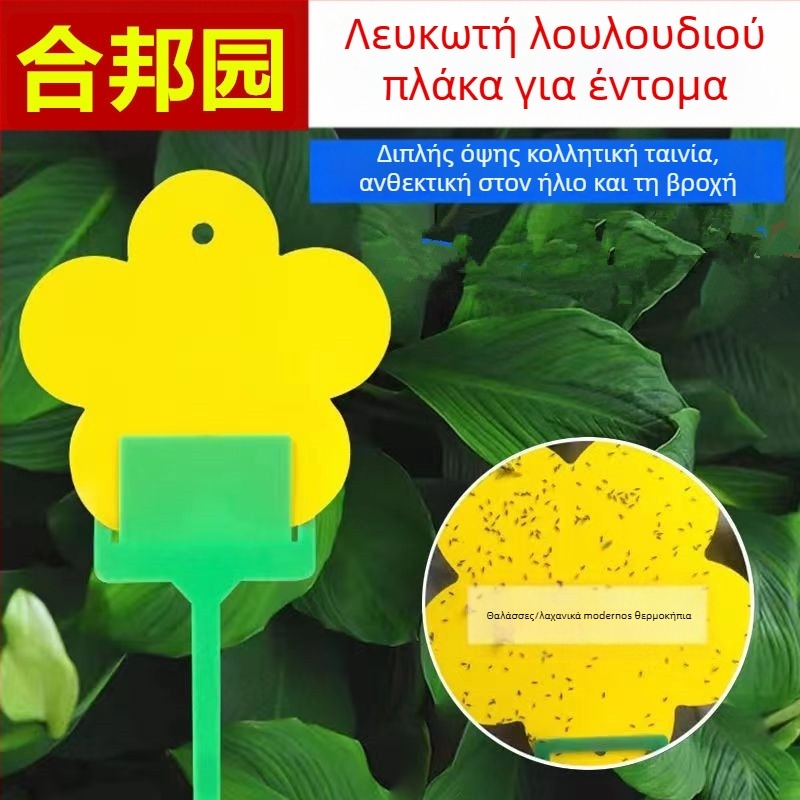 Κολλητική δίσκος για έντομα από το Hebang Garden για ανθοφόρα φυτά — PP υλικό, δυνατότητα ιδιωτικής ετικέτας