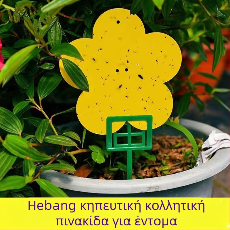 Κολλητική δίσκος για έντομα από το Hebang Garden για ανθοφόρα φυτά — PP υλικό, δυνατότητα ιδιωτικής ετικέτας