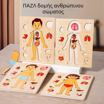 Ξύλινο παζλ οργάνων ανθρώπινου σώματος, για παιδιά, 4–6 ετών, μάρκα Xundai, διαμόρφωση δειγμάτων