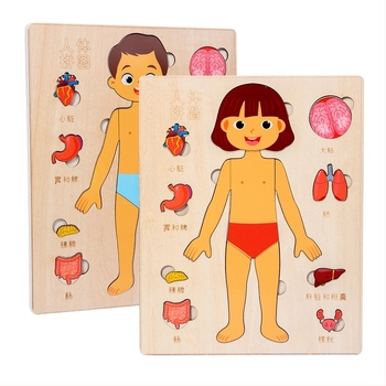 Ξύλινο παζλ οργάνων ανθρώπινου σώματος, για παιδιά, 4–6 ετών, μάρκα Xundai, διαμόρφωση δειγμάτων