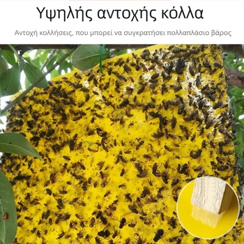 Κολλητική επιφάνεια εντόμων για μύγες φρούτων και κουνούπια – διπλής όψεως, μη τοξική, διάρκεια ζωής 5 έτη, 1000 φύλλα