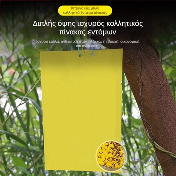 Κολλητική επιφάνεια εντόμων για μύγες φρούτων και κουνούπια – διπλής όψεως, μη τοξική, διάρκεια ζωής 5 έτη, 1000 φύλλα