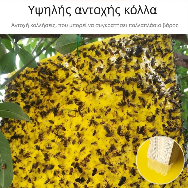 Κολλητική επιφάνεια εντόμων για μύγες φρούτων και κουνούπια – διπλής όψεως, μη τοξική, διάρκεια ζωής 5 έτη, 1000 φύλλα